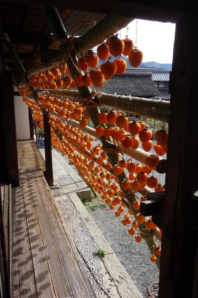 山梨訪問2023(心頭を滅却すれば　火も自ずから涼し：甲州市・恵林寺、旧高野家住宅、甲斐善光寺他)