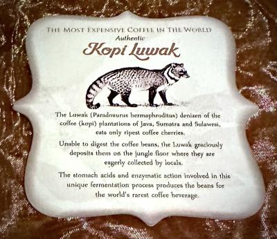 約四半世紀（24年）ぶりの「ジャカルタ・ノスタルジー」（懐かしのサリナ、スカイラインビル、コピールアック／ジャカルタ／インドネシア）