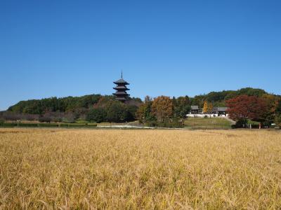 海も! 山も!! 古墳も!!! いろいろ大満喫★秋の岡山&広島4泊5日の旅 ① 岡山 吉備路サイクリング~前編~