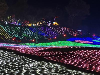 雲ひとつない日の海ほたるからの東京ドイツ村
