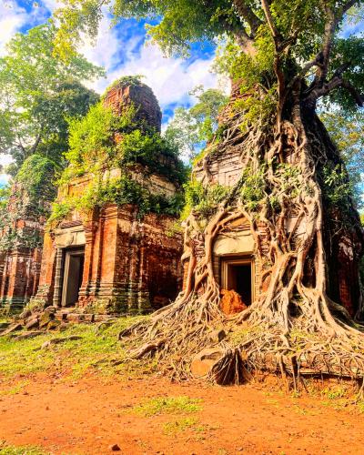コーケー世界遺産の遺跡群の見学時間について午前７時３０開門午後１７時３０閉門