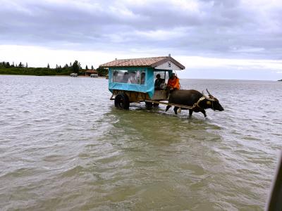 秘境、西表島へ宿泊滞在!八重山4島10大絶景周遊(3日目)