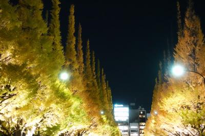 20241125-1 外苑前 今週がいちょう並木の見頃らしい。週間予報見るに…今日が良いかなと寄り道を。