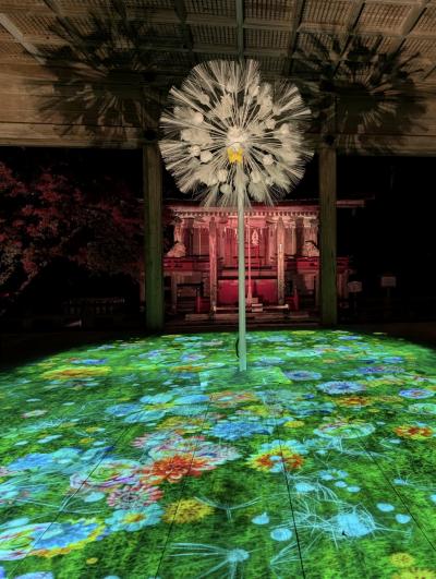 《2024.November》あみんちゅぶらり淡海を歩く旅その LIV坂本・守山~雨の紅葉ライトアップ・イルミネーション編~