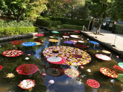 行田市の花手水_2024_忍城と行田八幡宮、そして少しだけ商店街を歩きました