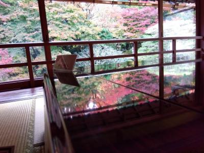 坂本の紅葉を訪ねる１日―旧竹林院・西教寺と芙蓉園