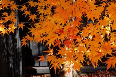 盛岡の歴史と晩秋の角館を楽しむ旅【２】～晩秋の角館を歩く～