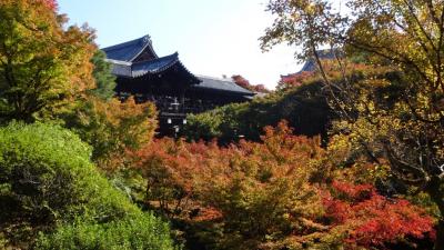 紅葉-伊勢神宮と京都東山の旅--後編、京都東山