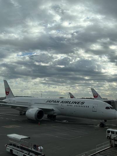 ヨーロッパ周遊1日目&2日目朝