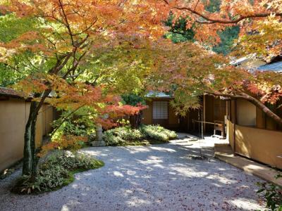 2024年紅葉の色づき状況&#9825;一条恵観山荘＊長寿寺＊明月院