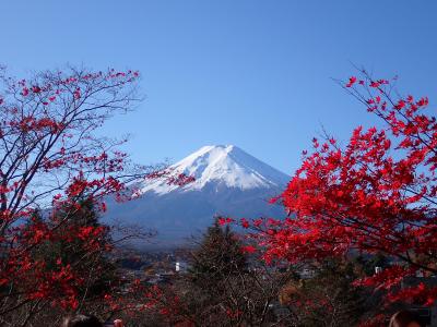 絶景だらけ！河口湖周辺で紅葉狩りー2024.11ー