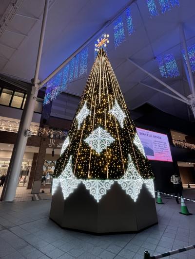 【2024年11月 長崎】中編 ちゃんぽん&皿うどんのディナー・九州新幹線で佐賀へ移動