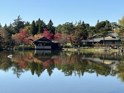 紅葉の昭和記念公園へ行こう！