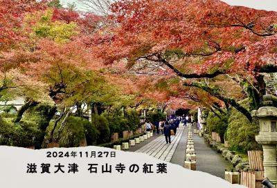 滋賀大津 石山寺の紅葉 2024.11.27