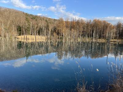 北海道で青い池が見たい、ついでにポケふたも 1