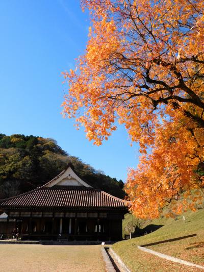 カイノキの紅葉が美しい岡山県備前市閑谷の閑谷学校