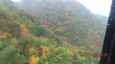 九大YHOB会に参加のために丹波篠山へ行きました(4)有馬温泉と六甲山ガーデン