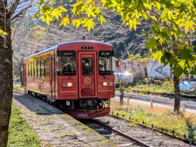 大阪・伊勢・岐阜・名古屋、呑み鉄たび、その2（長良川鉄道と名古屋の夜）