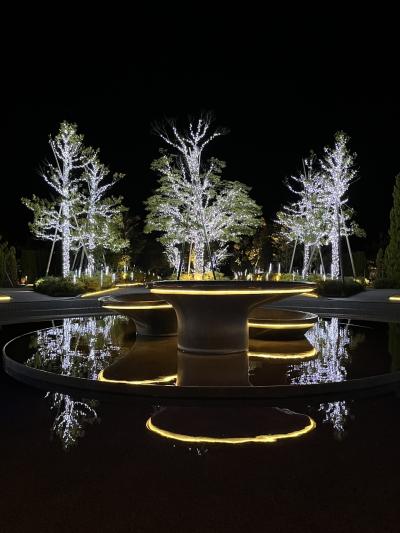 クリスマスイルミのラグーナベイコート①夕食