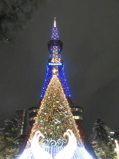 2024さっぽろホワイトイルミネーション ＆ 2024ミュンヘン・クリスマス市 in Sapporo　