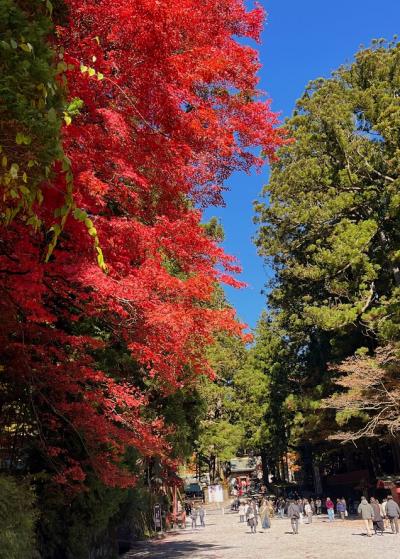 宇都宮＆日光　御朱印旅　2日目　中禅寺湖　輪王寺　大猷院　東照宮