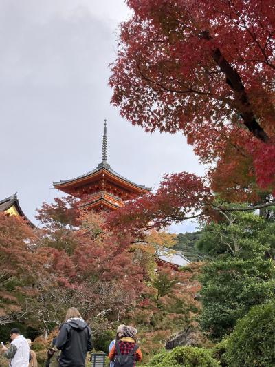 夫婦で京都へ