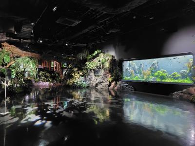 ≪国内ぷち逃走31≫→沖縄