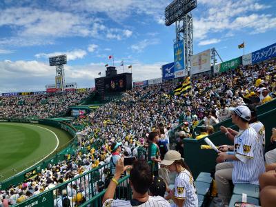 アレンパを期待した関西1泊の旅