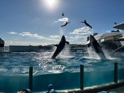 ３世代鴨川旅行①