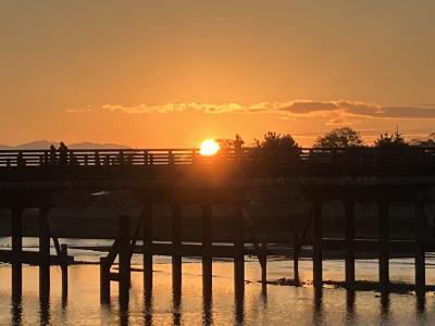 2024.11.21(木) 木曜日 渡月橋 神護寺 大原三千院 大覚寺