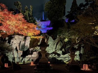 《2024.November》あみんちゅぶらり淡海を歩く旅その LV石山～石山寺あたら夜もみじ２０２４編～