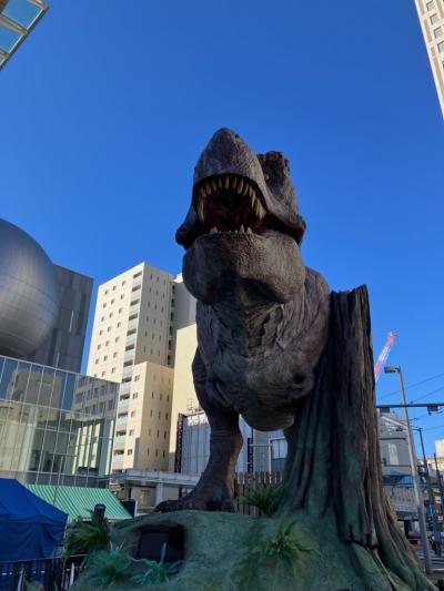 北陸新幹線紀行 後半(山代温泉~福井~三方五湖)