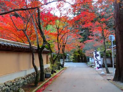 秋の広島へ、三滝観音・縮景園・仏通寺を巡る