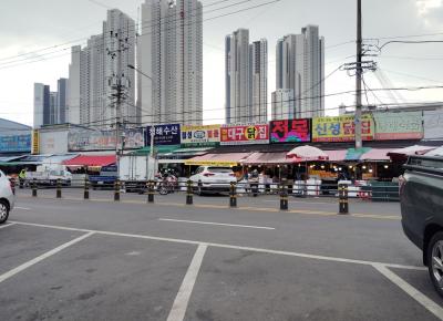 大邱経由で晩秋のモンゴルへひとり旅【トランジット時間で大邱の街歩き　編】