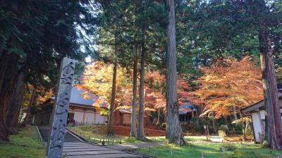 東北さるく 平泉