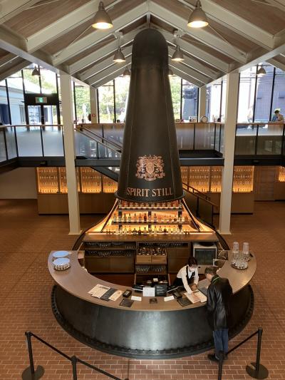 【202412】晩秋の、島本、天王山、長岡京の紅葉鑑賞