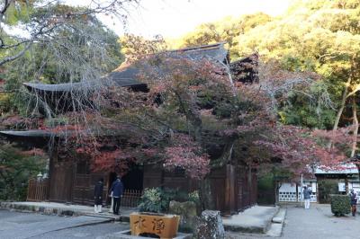 恵那川上屋瑞喜舎カフェで栗料理を頂き定光寺へ2024年11月