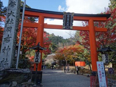 大社日吉神社の紅葉もきれいだった。