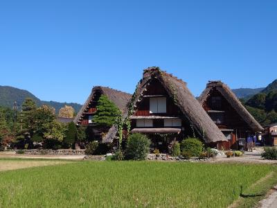 2024年10月10歳、14歳と一緒に白川郷へ