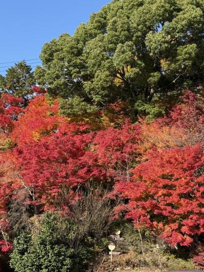 2024.秋　神戸、有馬へ寄ってみた　　2/2