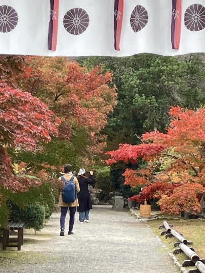 2024.11.24 日曜日 京都/山科 勧修寺(カジュウジ)