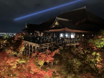 2024.11.29 金 智積院 清水寺 永観堂 紅葉