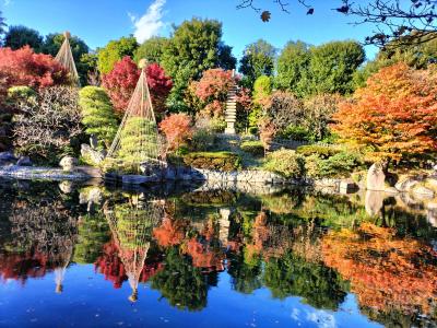 都内の紅葉散策　六義園と目白庭園