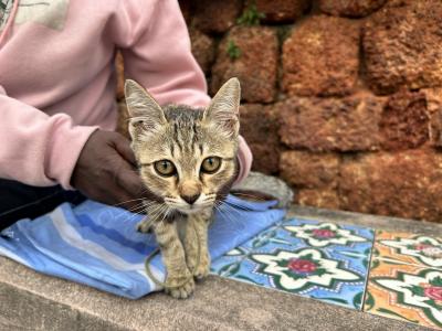 爆走grab!マラッカへの決死のドライブ【マラッカday1】