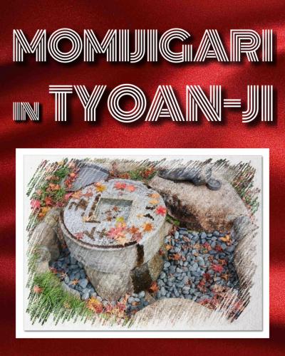 紅葉狩り【長安寺】　2024年 12月