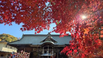 2024年12月1日～群馬県高崎の紅葉の名所巡り2泊3日　2025年1本目100本目の旅行記です