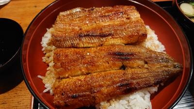 大阪の魚伊本店へ地焼鰻を食べに行く。