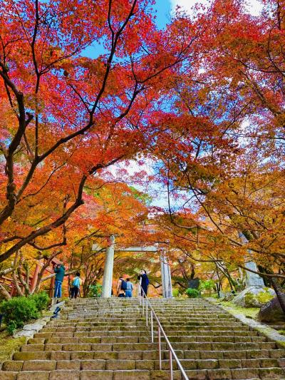 太宰府へ紅葉めぐり (^^) 竈門神社 ～ 光明禅寺 ～ 太宰府天満宮 ～ 九州国立博物館