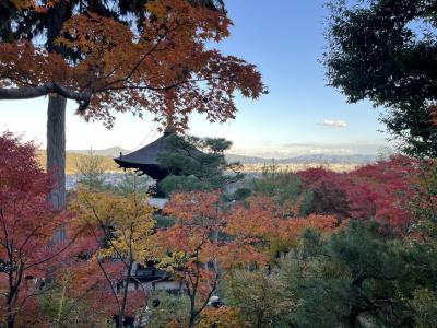 2024秋 それでもやっぱり京都に来てみた