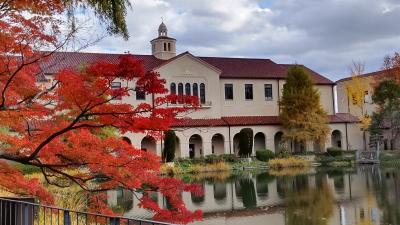 紅葉を求めて西宮山麓